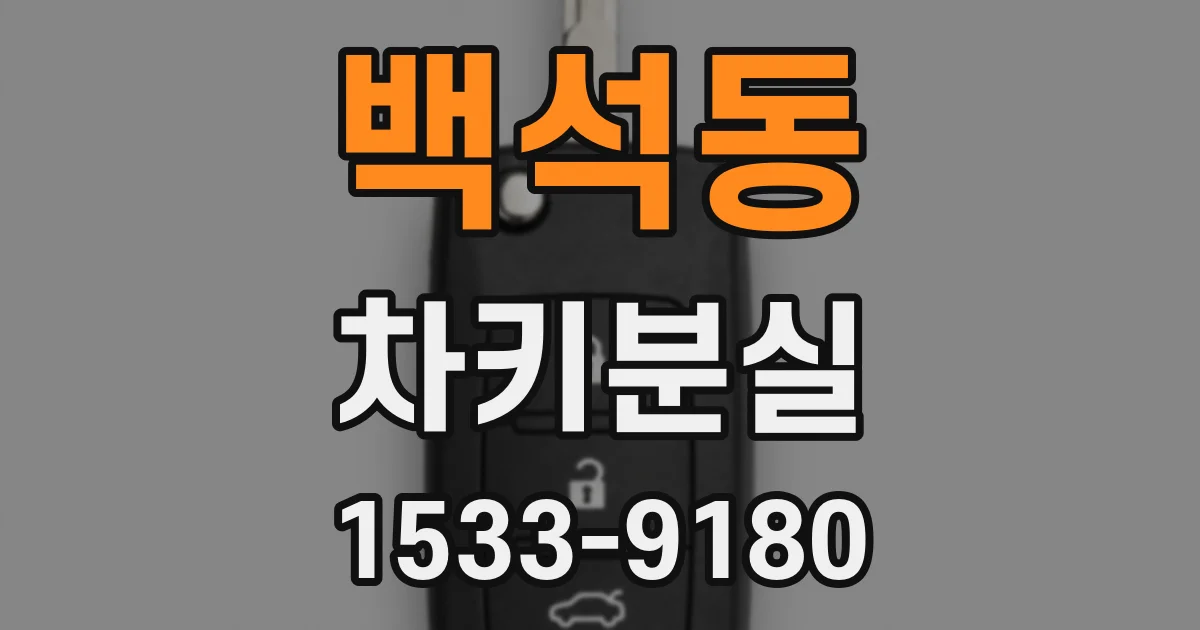 백석동 차키분실