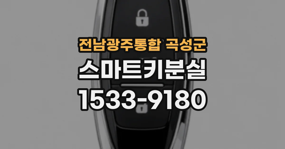 전남광주통합 곡성군 스마트키분실