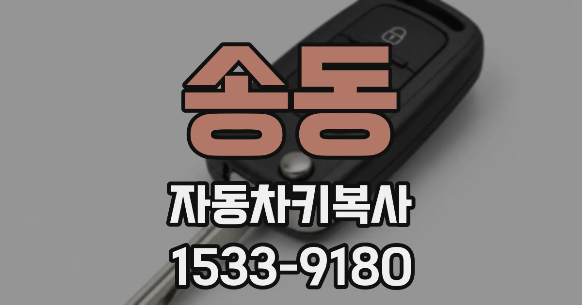 송동 자동차키복사