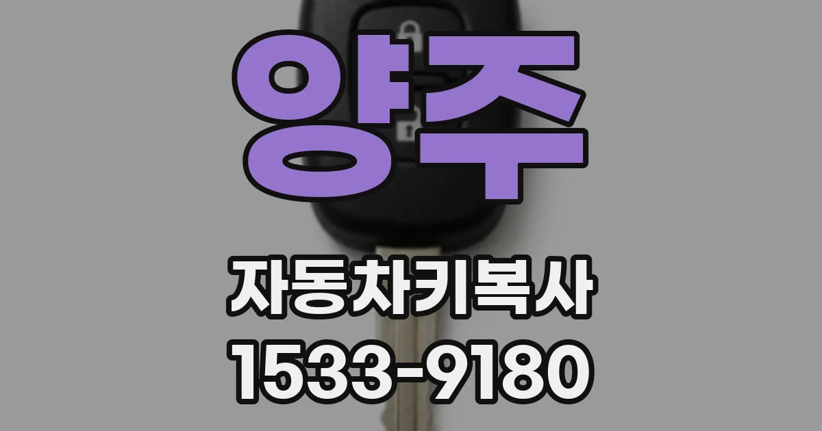 양주 자동차키복사