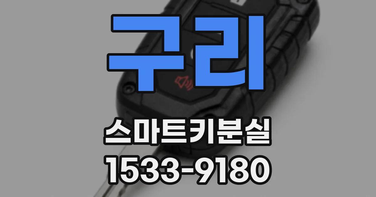 구리 스마트키분실