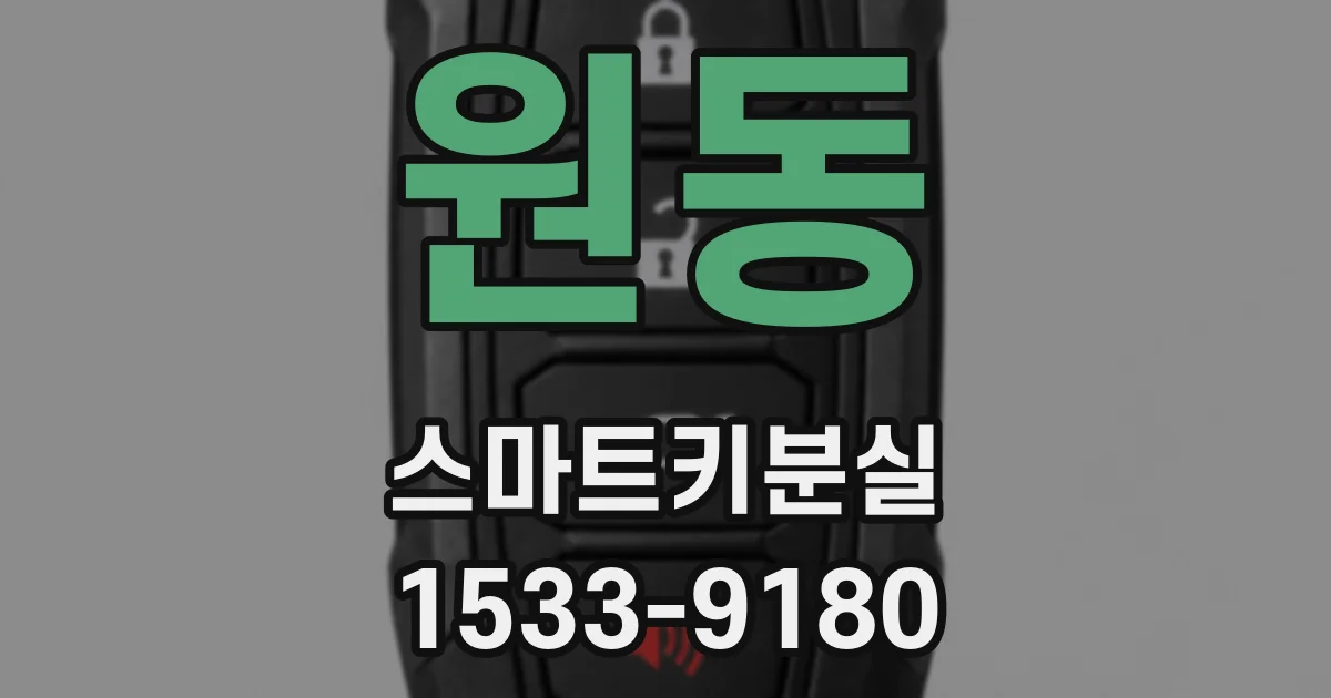 원동 스마트키분실