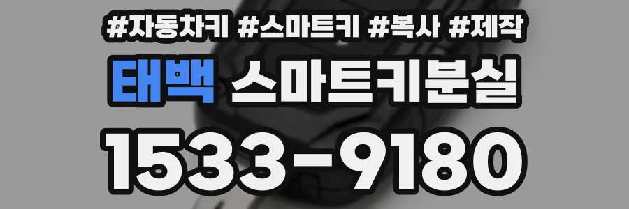 태백 스마트키분실