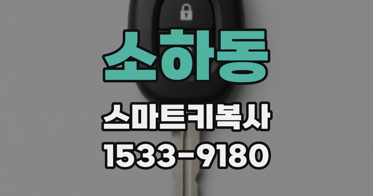 소하동 스마트키복사