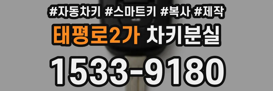 태평로2가 차키분실