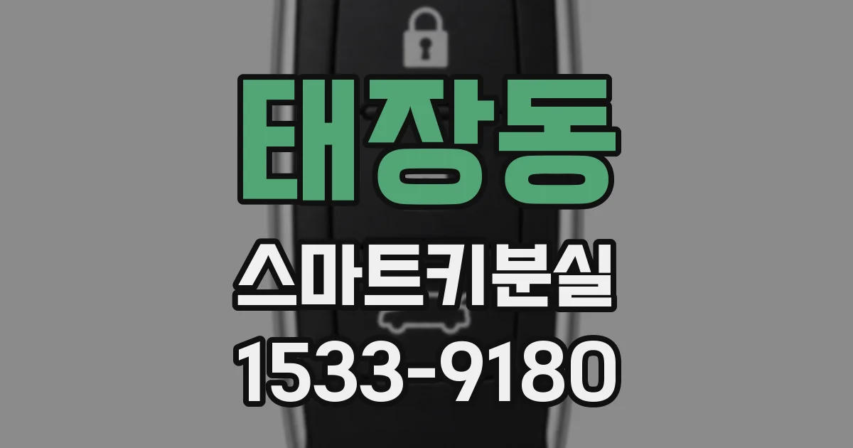 태장동 스마트키분실