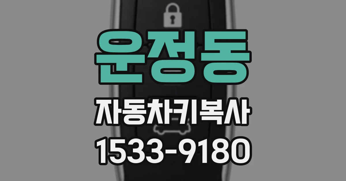 운정동 자동차키복사