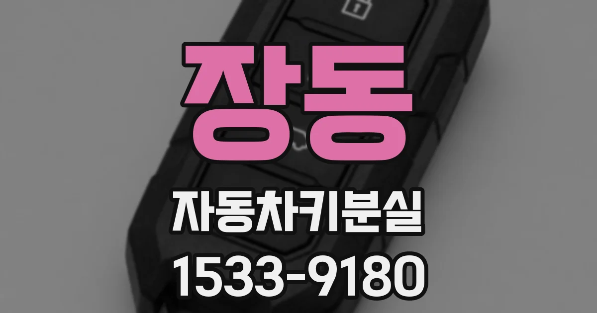 장동 자동차키분실