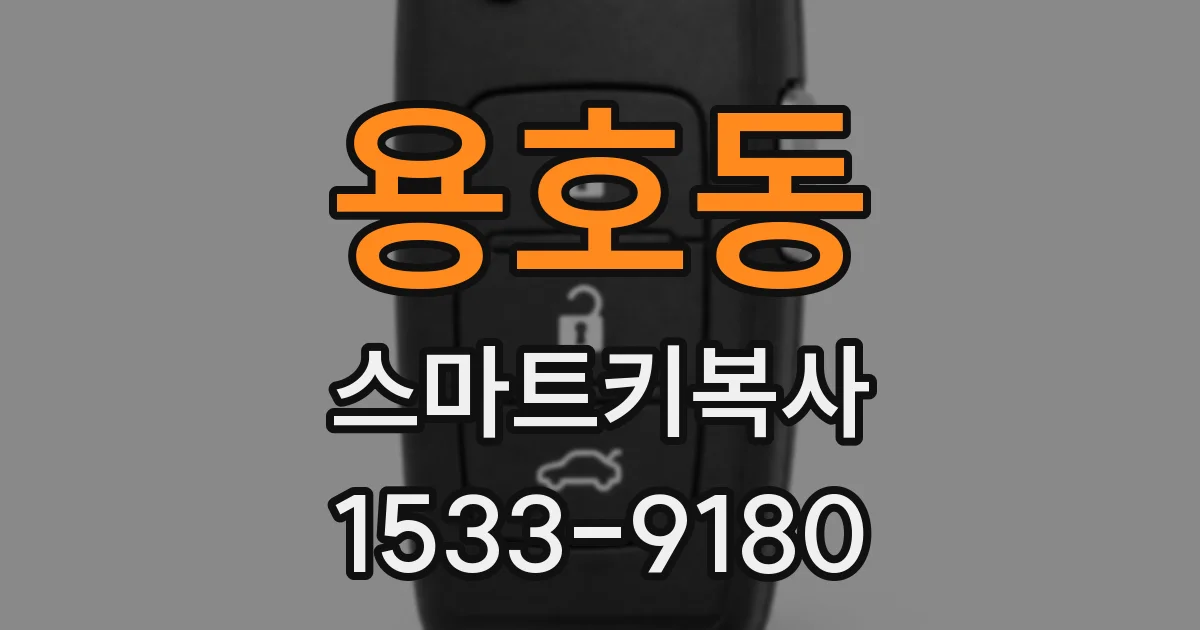 용호동 스마트키복사