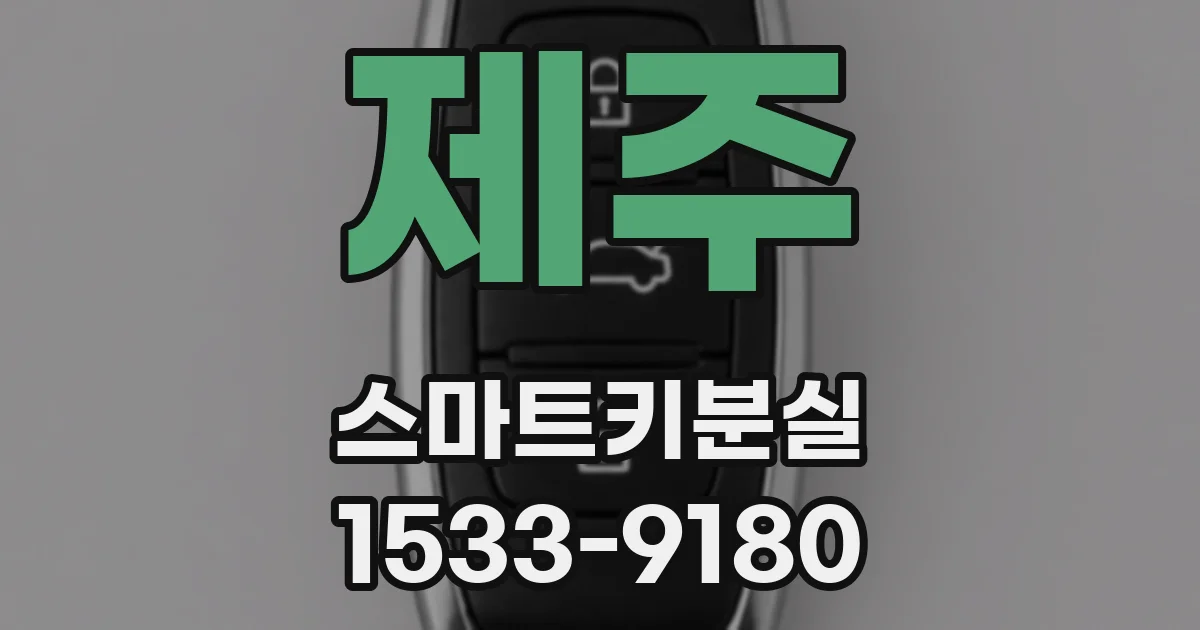 제주 스마트키분실