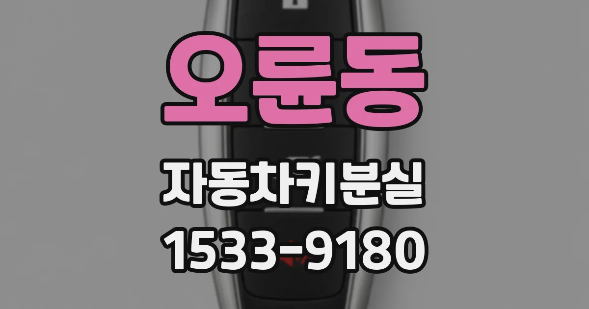오륜동 자동차키분실
