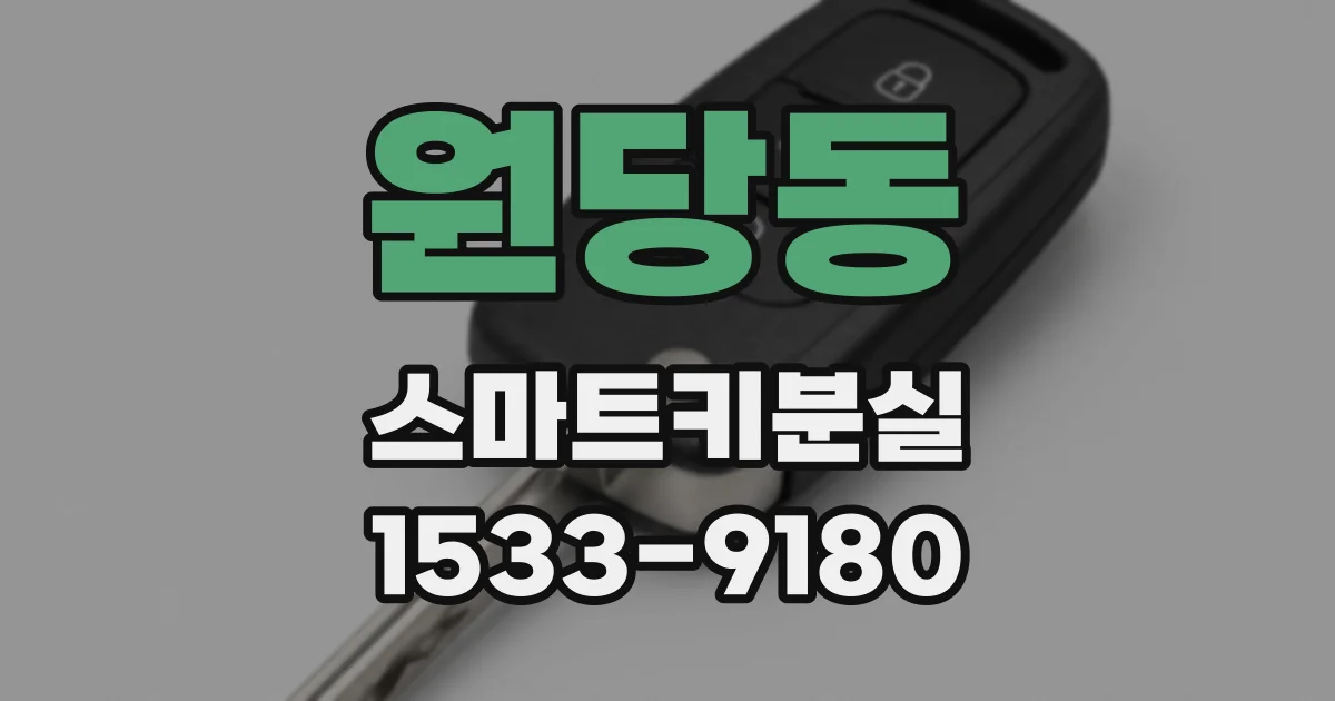 원당동 스마트키분실