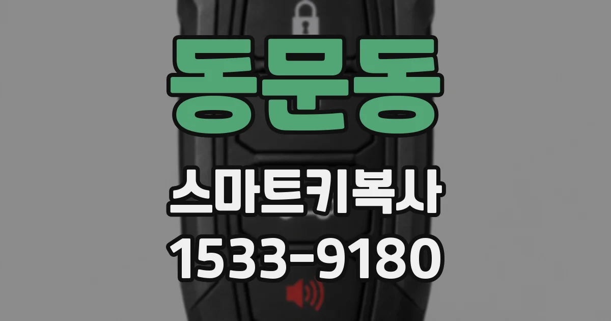 동문동 스마트키복사