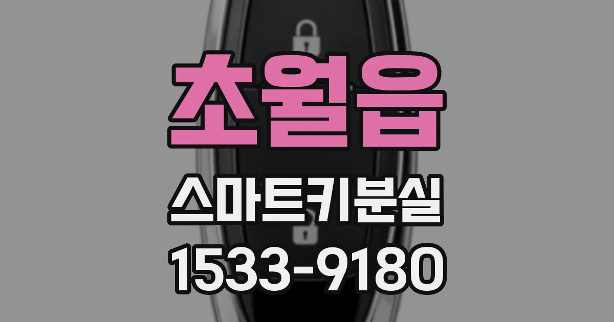 초월읍 스마트키분실
