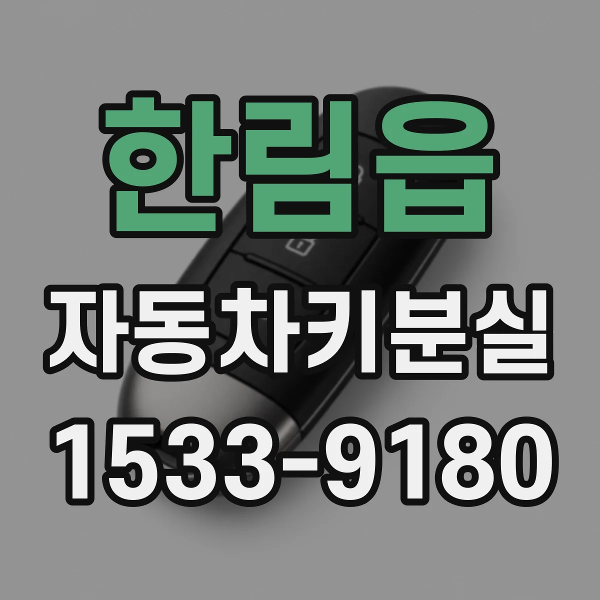 한림읍 자동차키분실