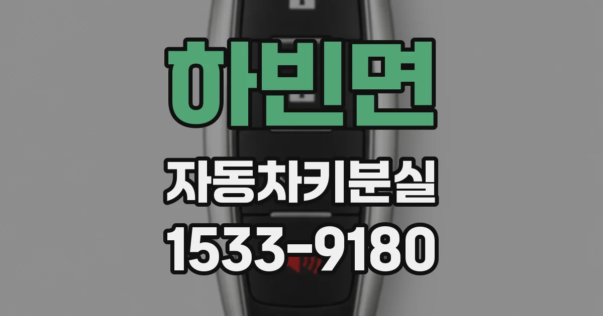 하빈면 자동차키분실