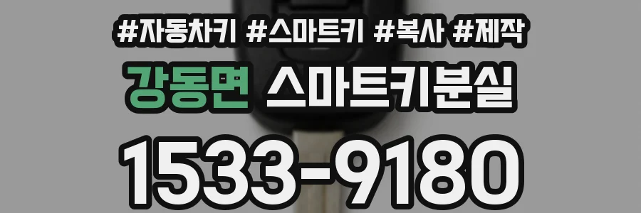 강동면 스마트키분실