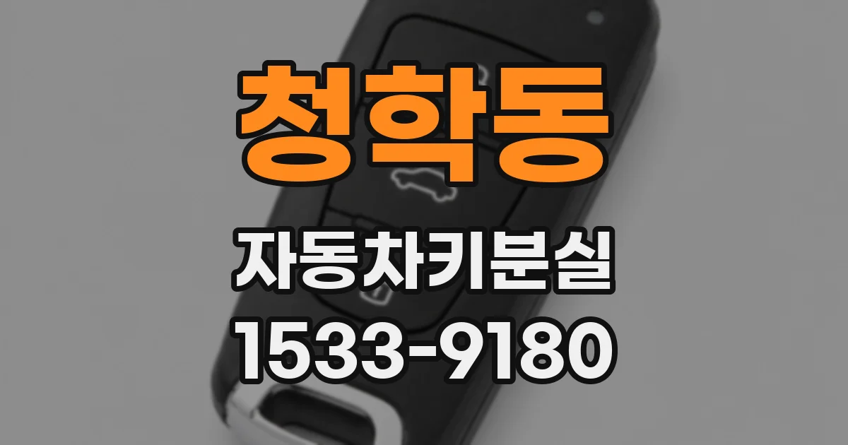 청학동 자동차키분실