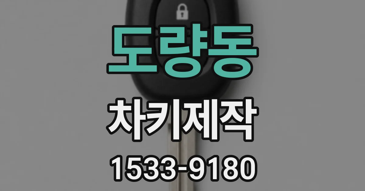도량동 차키제작