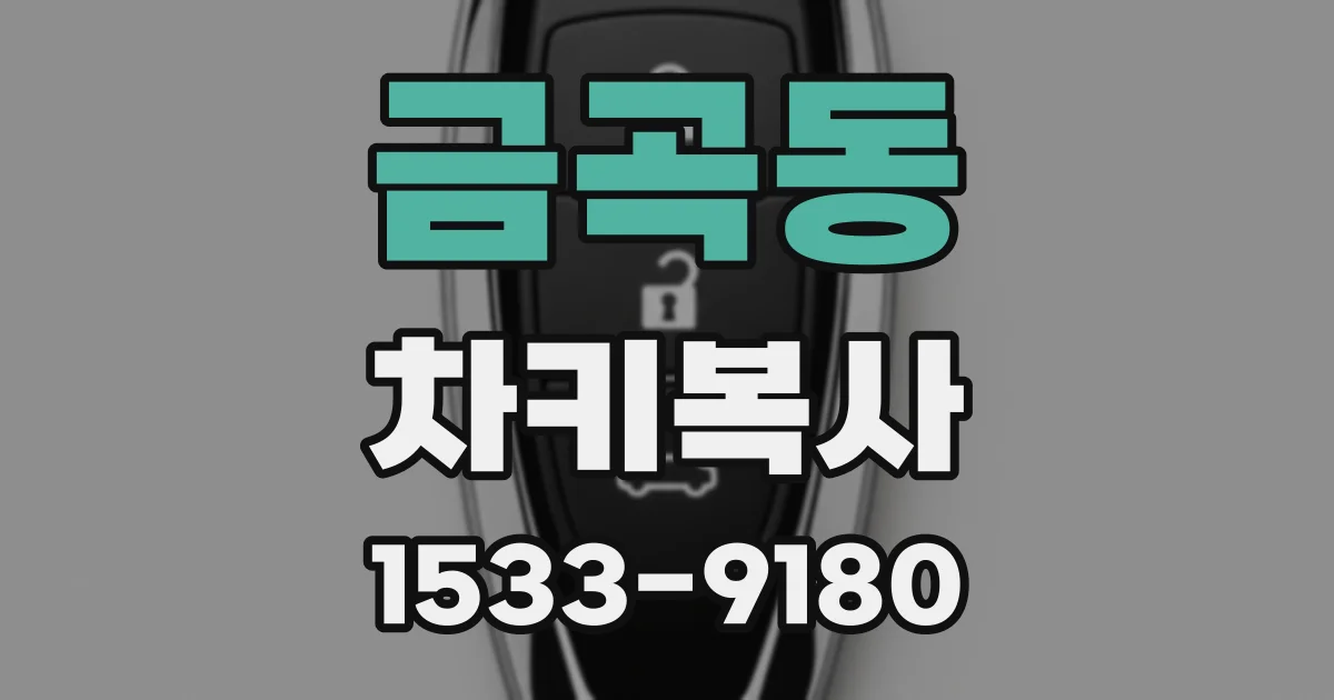 금곡동 차키복사