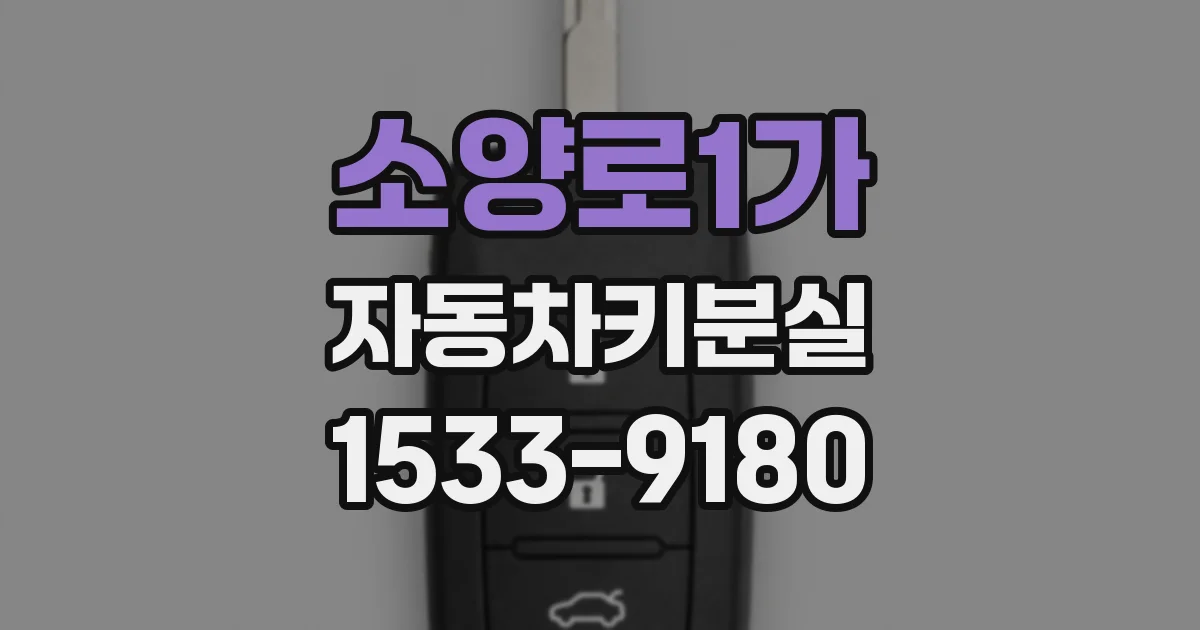 소양로1가 자동차키분실