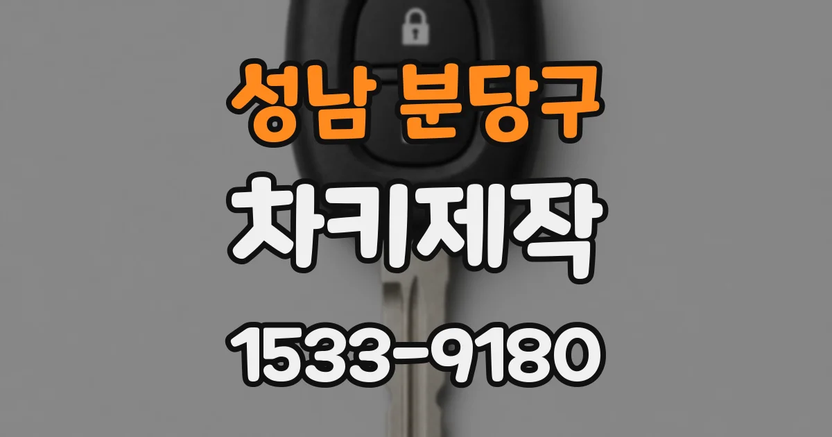 성남 분당구 차키제작