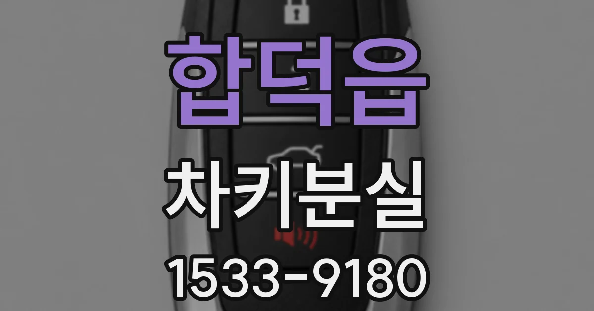 합덕읍 차키분실