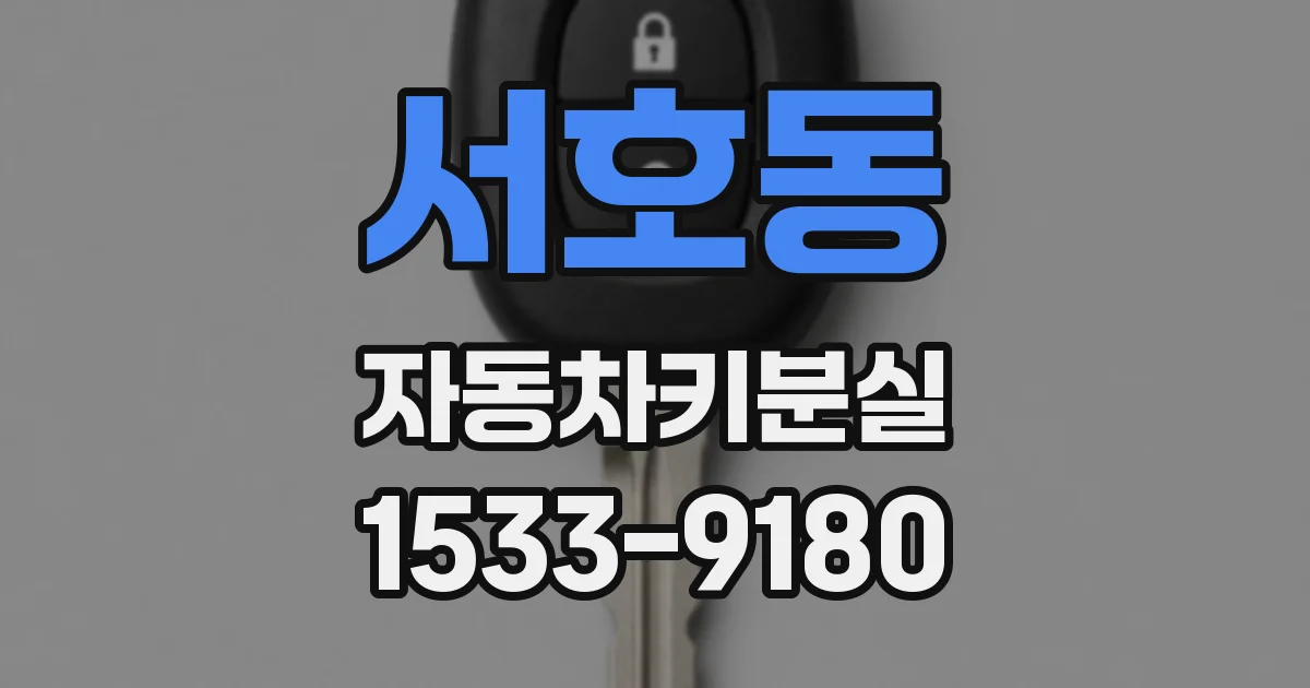 서호동 자동차키분실