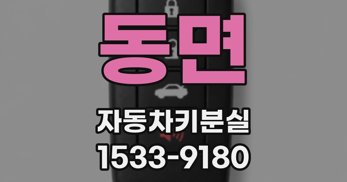 동면 자동차키분실