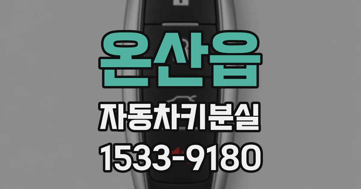 온산읍 자동차키분실