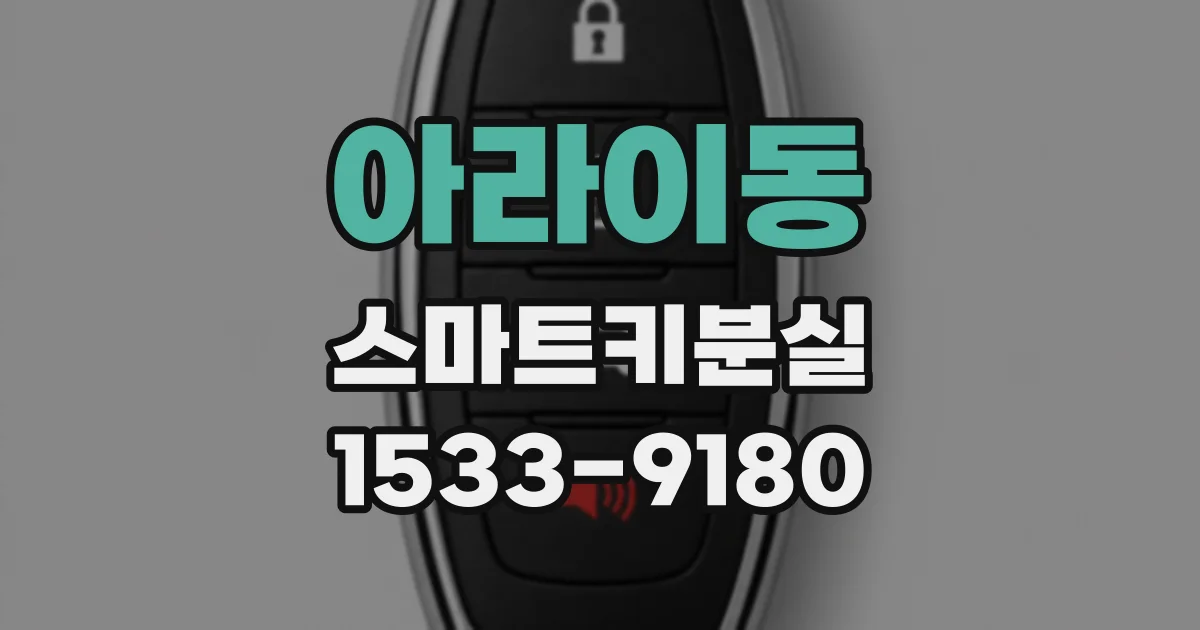 아라이동 스마트키분실