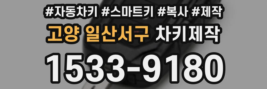 고양 일산서구 차키제작