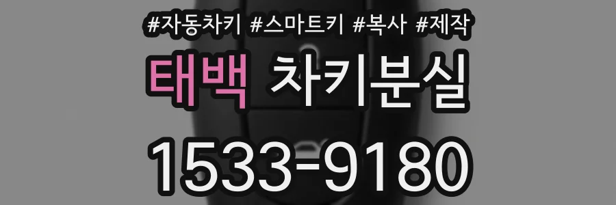 태백 차키분실