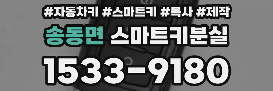 송동면 스마트키분실