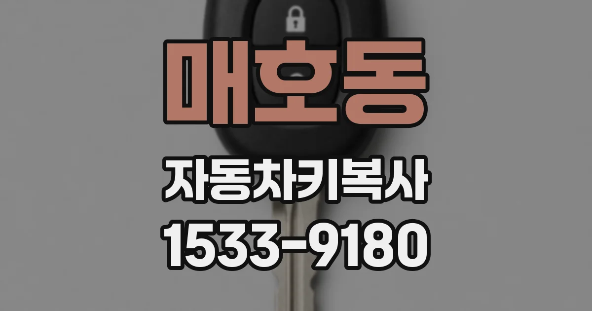 매호동 자동차키복사