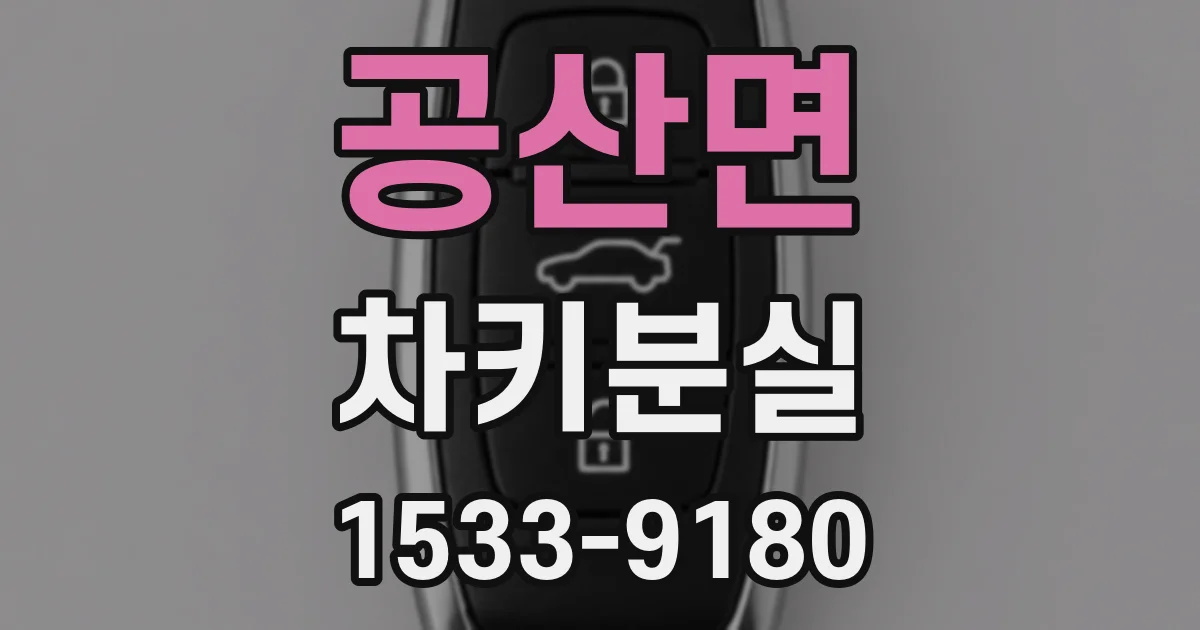 공산면 차키분실
