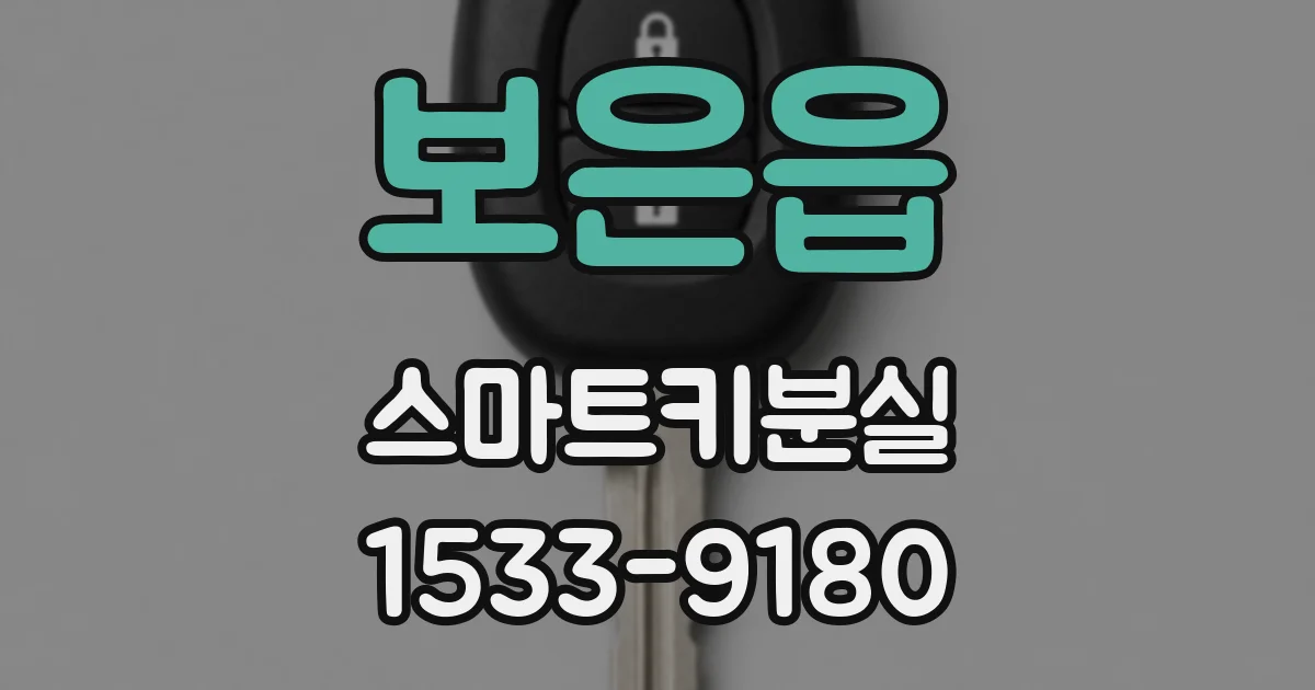 보은읍 스마트키분실