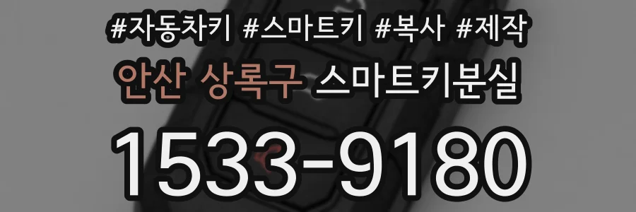 안산 상록구 스마트키분실