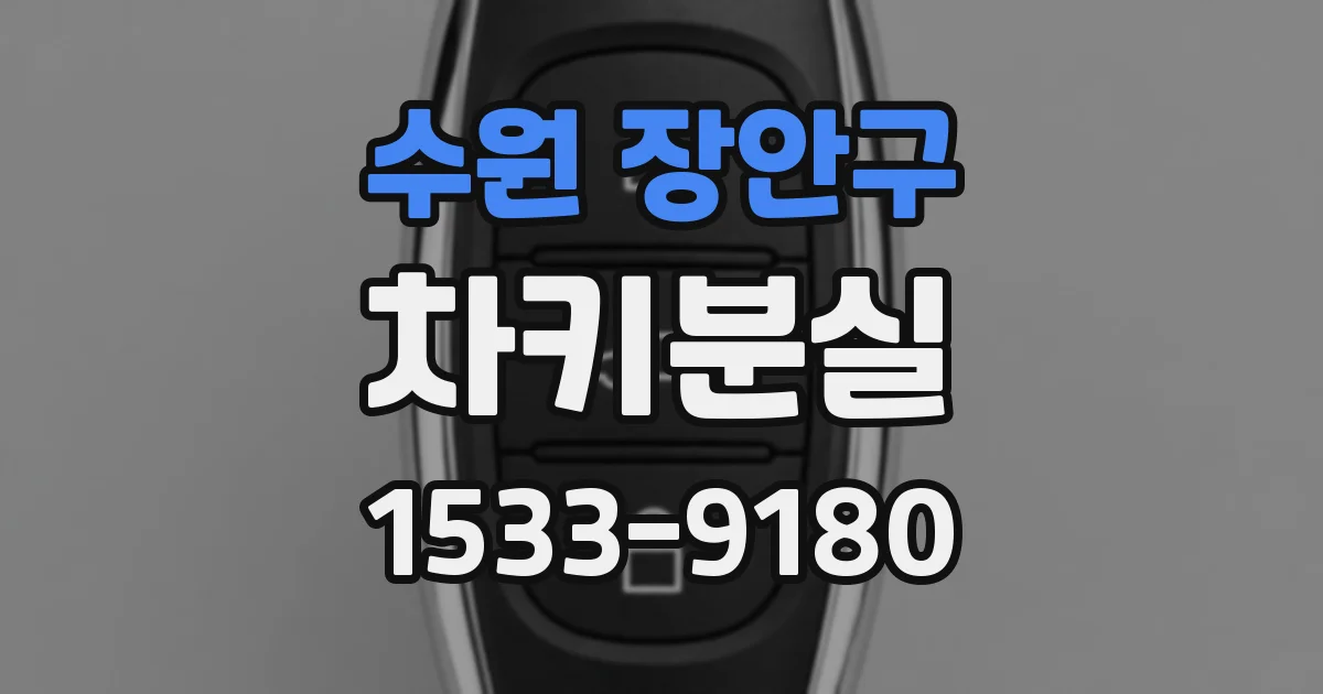 수원 장안구 차키분실