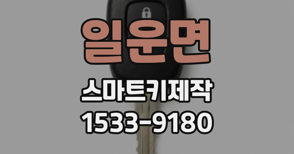 일운면 스마트키제작
