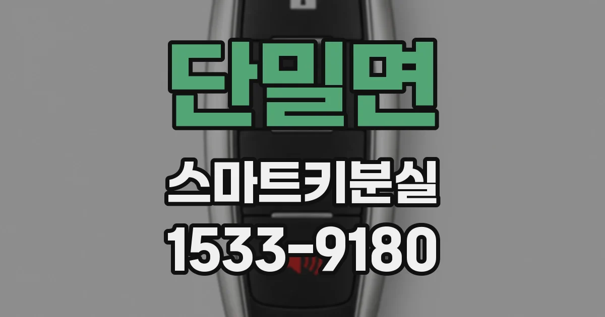 단밀면 스마트키분실