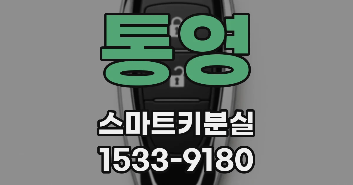 통영 스마트키분실