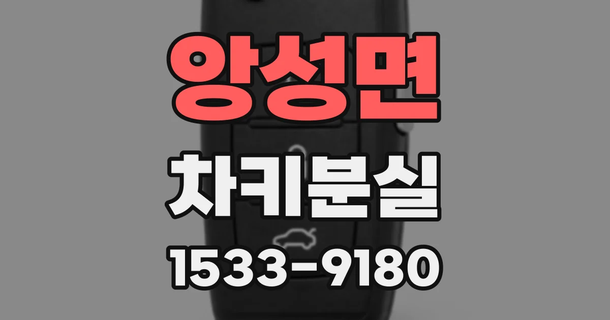 앙성면 차키분실