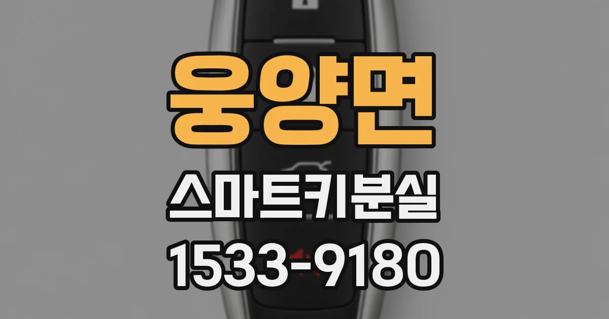 웅양면 스마트키분실