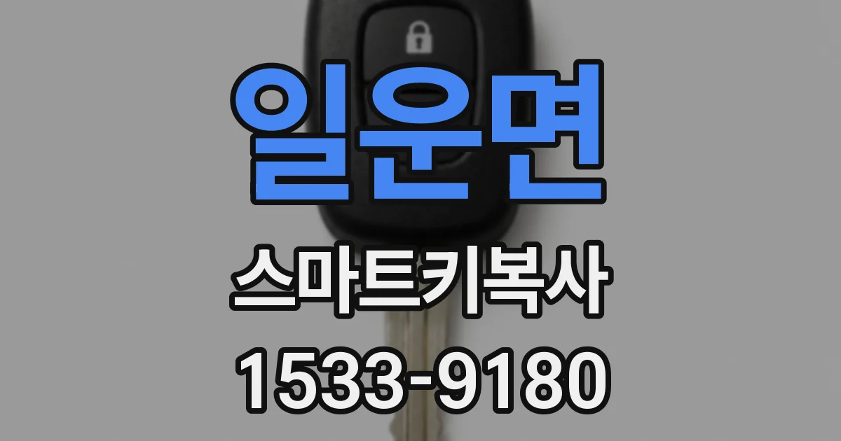 일운면 스마트키복사