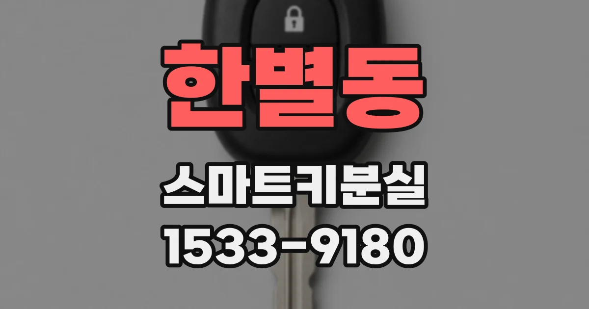 한별동 스마트키분실