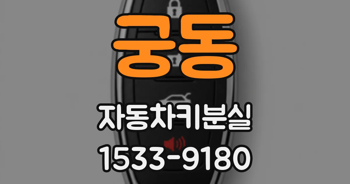 궁동 자동차키분실