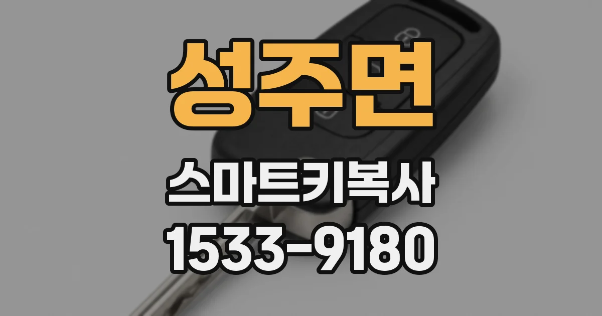 성주면 스마트키복사