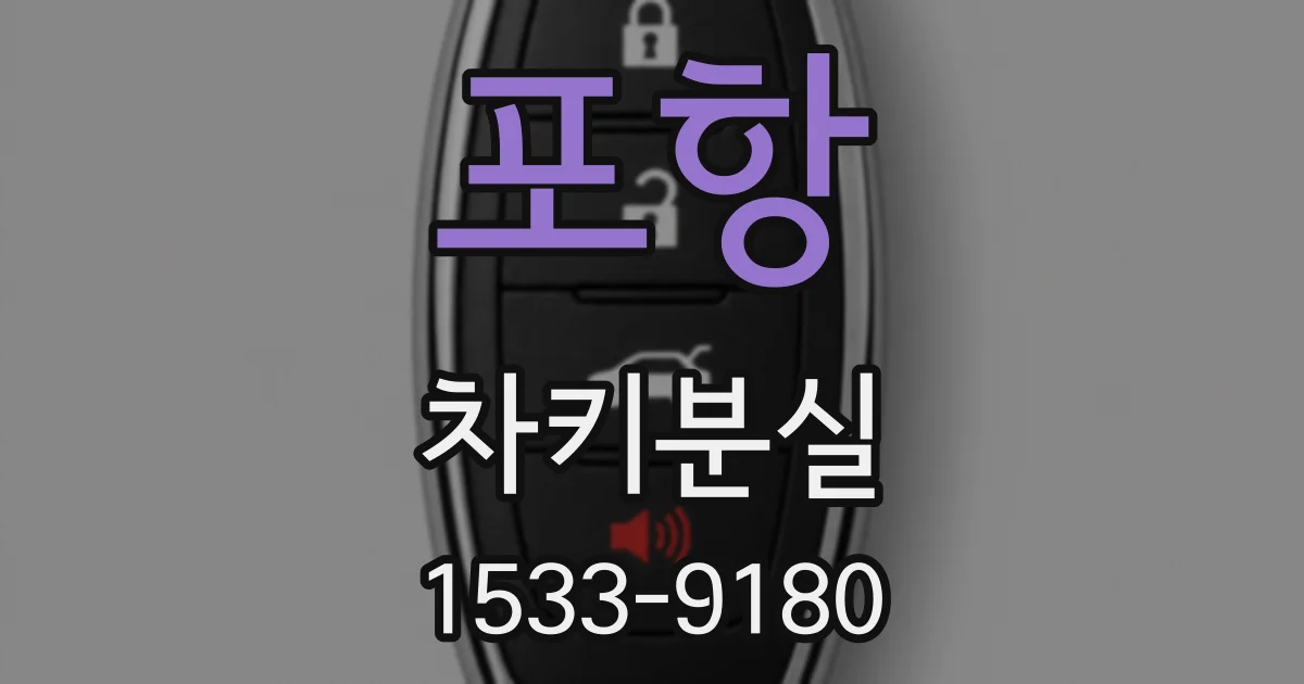 포항 차키분실