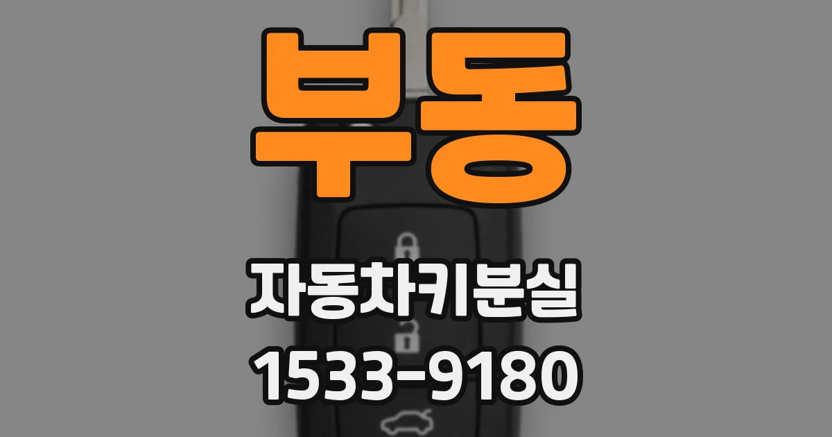부동 자동차키분실